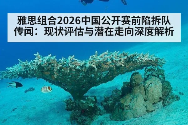 雅思组合2026中国公开赛前陷拆队传闻：现状评估与潜在走向深度解析