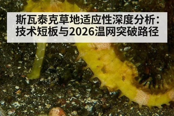 斯瓦泰克草地适应性深度分析：技术短板与2026温网突破路径